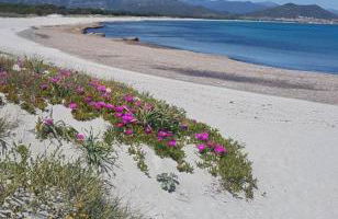 MONOLOCALE YELLOW - Foto 18