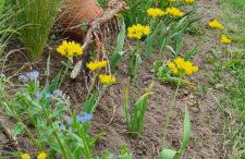 Sowi Dworek - Foto 10