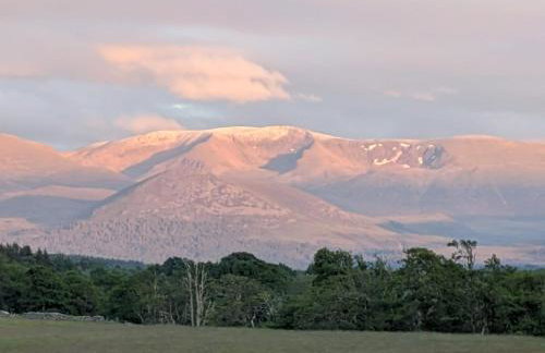 The Rowan - Foto 19