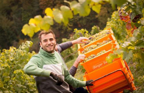 Ferienwohnungen Lithos - Foto 38