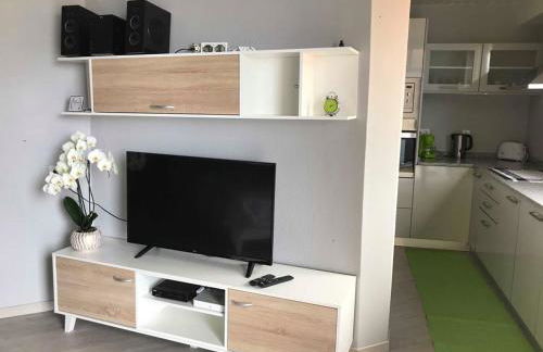 STUDIO'S HOUSE - Photo 30