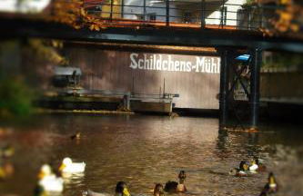 Altstadtapartment an der Krämerbrücke - Foto 15