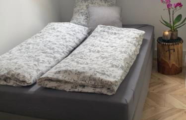 Nibelungen 3 Zimmer Apartment - Photo 13