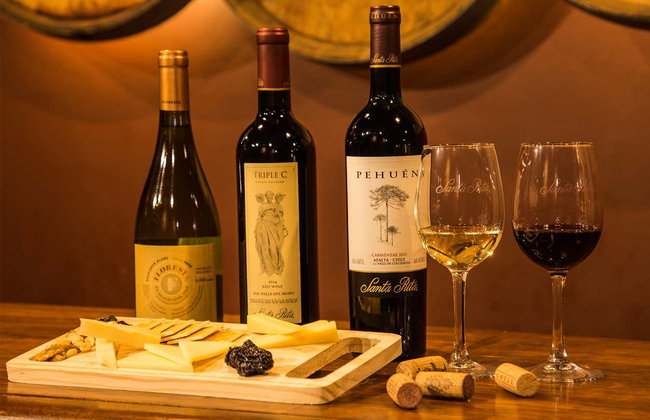 Visita a las bodegas de Santa Rita - Foto 5