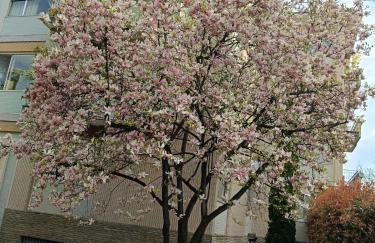 Garden Flat - Foto 2