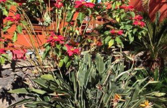 Holiday Home Finca Los Vinedos by Interhome - Foto 24