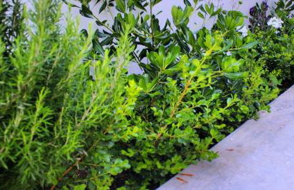 SUNSET Luxury Accommodation - Foto 35