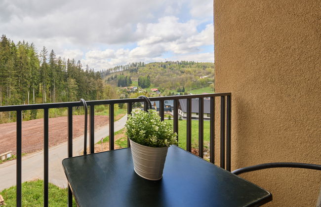 Černý Důl - Foto 18