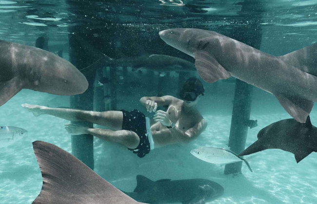 Excursión a la Isla de los Cerdos en avioneta - Foto 6