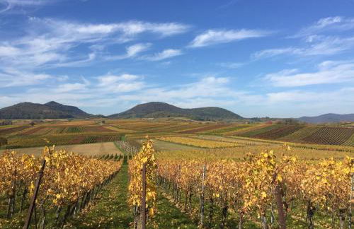 Ferienhaus Mandelblüte - Foto 15
