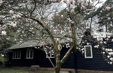 Tranquil home at Westerlands Farm, Sleeps 7, The South Downs - Foto 62