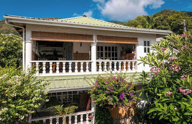 Beau Bamboo - Foto 74