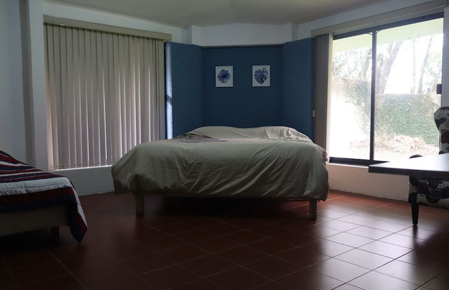 House of Ficus Banderilla,veracruz-mexico - Foto 5