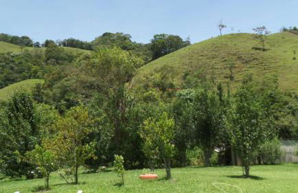 Sítio Recanto do Araçá - Foto 28