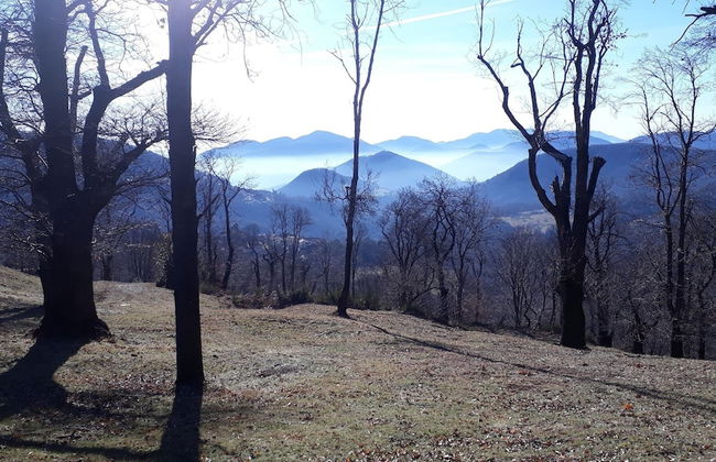 Casa Hürlimann Erholung Im Malcantone - Photo 25