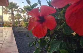 Green Ocean House - Origo Mare - Foto 8