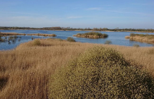 Holiday Apartment Red Milan - Foto 11