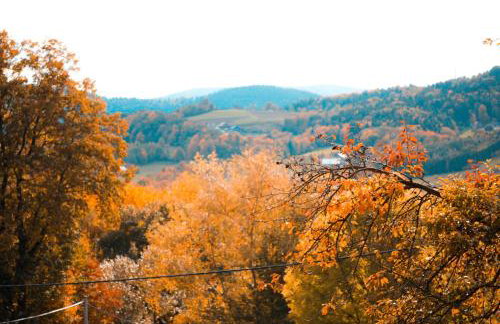 Zachód Beskidu domek z Jacuzzi na wyłączność - Foto 41