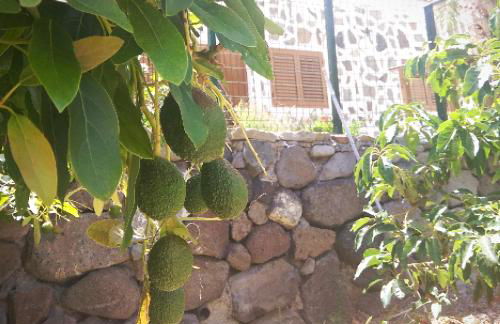 Casas Blancas - Suite 3 - Foto 25