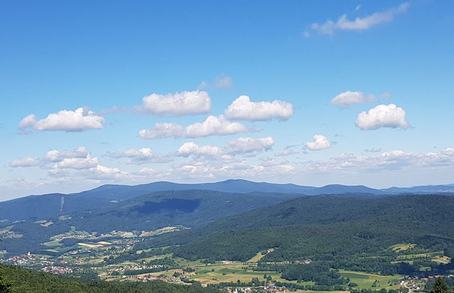 Pretty Holiday Home in Schöfweg ot Langfurth near Ski Slope - Foto 34