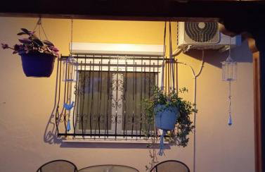 Αυλή της Ελιάς - Foto 29