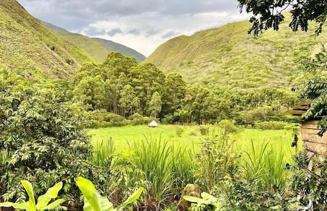 Eco-Finca Hostal Santorum - Foto 12