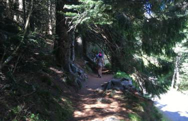 Le petit Kichon - Foto 28