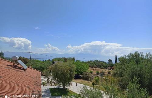 Anastasios Olive Garden Apartments - Foto 20