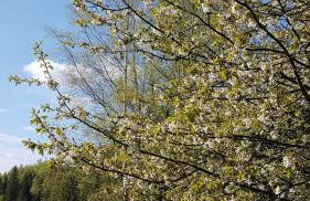 Domek pod Kłódką - Foto 10