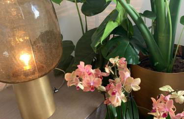 Nibelungen 3 Zimmer Apartment - Photo 8