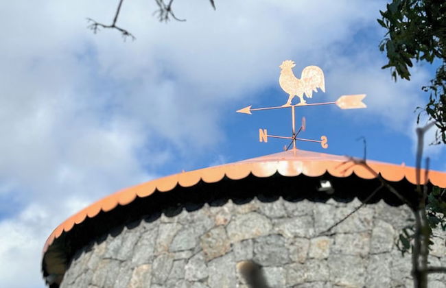 Banana Eco Camp - Foto 18