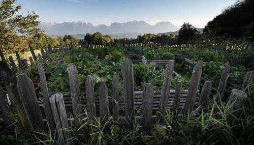 Relais Incanto - Agriturismo Nel Giardino di Fien - Foto 3, Garden