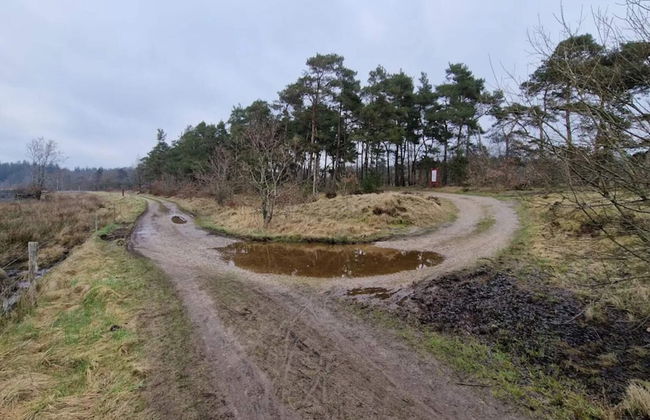 Pleasant Holiday Home in Silkeborg near Lake - Foto 4