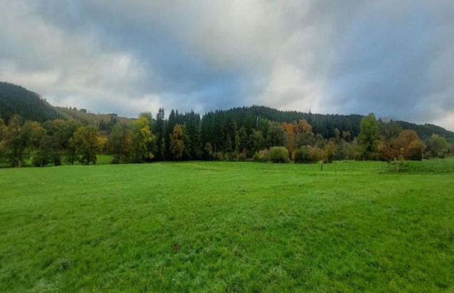 Haven With Private Garden - Photo 34