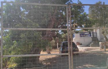 The traditional house-Skalia,kalymnos - Foto 27