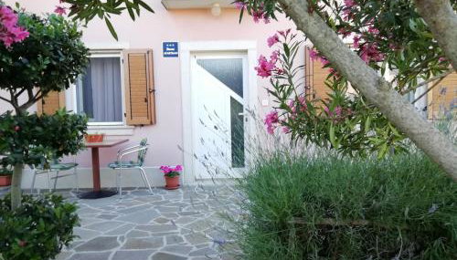 Apartmani Vesna - Foto 4