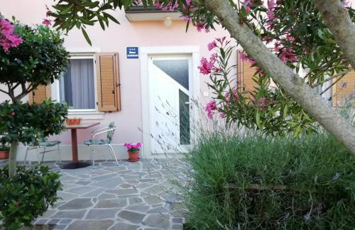 Apartmani Vesna - Foto 4