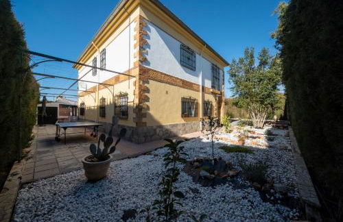 Casa rural Granada Los Corralillos de Pepa - Foto 55