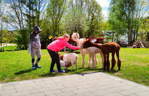 Agroturystyka Zagroda Alpaka - Foto 20