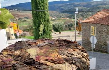 Casa da Muralha - Foto 77