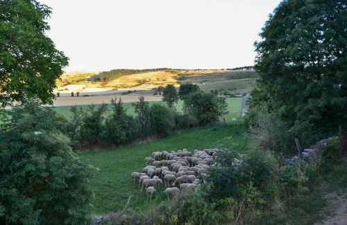 Gites de france 3 epis 5 personnes a mativet - Foto 24