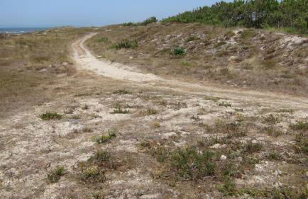 Nibho Apartment - Foto 60