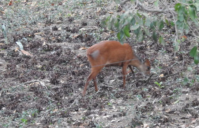 Birds Babble Self Catering Guest House - Foto 16