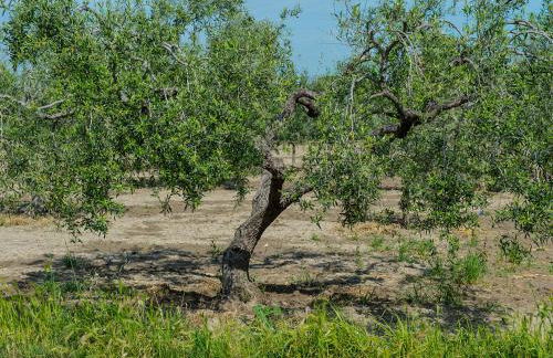 Villa Lucia - Foto 18