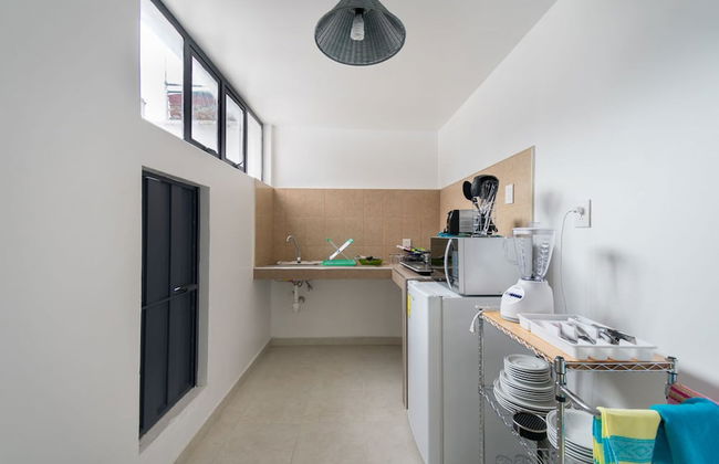 JUUB at THE SOUL OF OAXACA - Foto 5