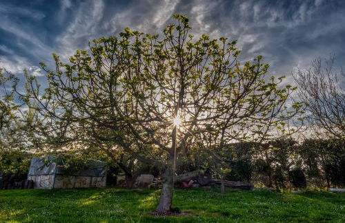 Epotx Etxea - Foto 52