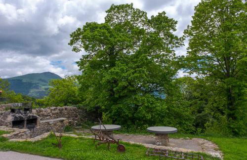 Can Tubau - Casa rural - Apartaments - Foto 32