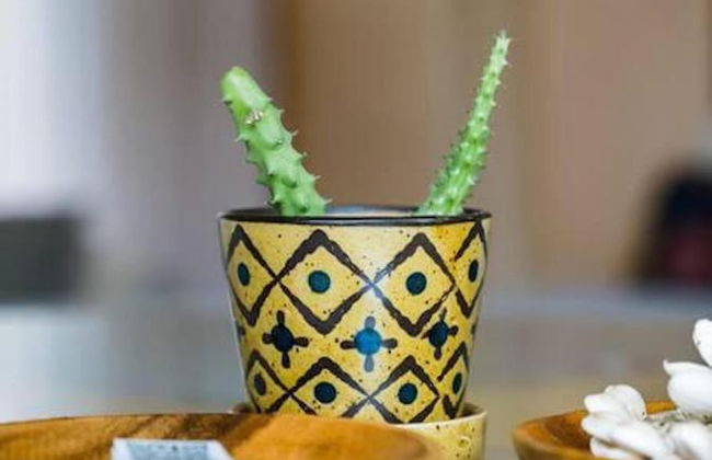 Buhwi Bira Byron Bay Studio - Central - Photo 27