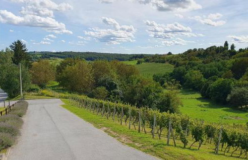 Cozy Home In Maglenca With Sauna - Foto 44