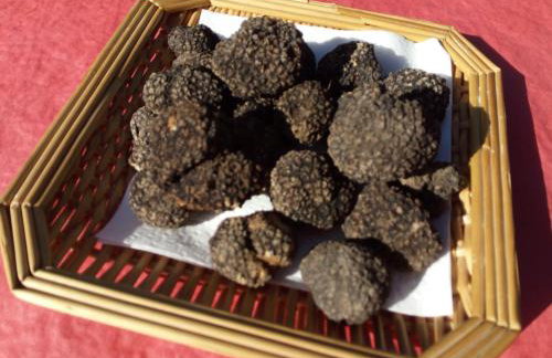 Rosa - Agriturismo Fogliani - Photo 26